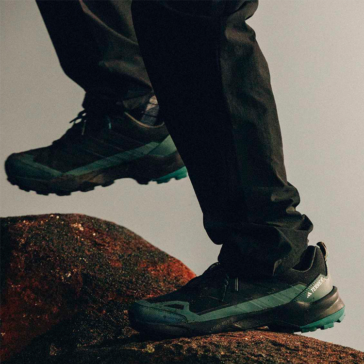 Кроссовки Adidas TERREX SKYCHASER AX5 GTX / Мужской / 48 / Черный photo 5