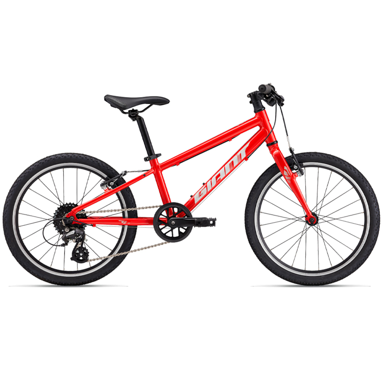 Bicicleta pentru copii Giant ARX 20 photo 