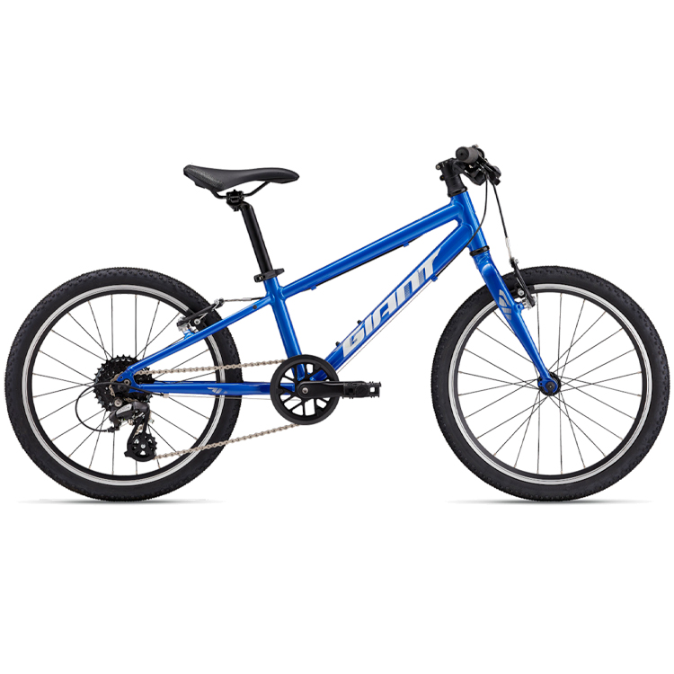 Bicicleta pentru copii Giant ARX 20 photo 