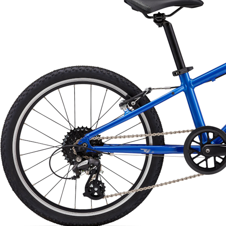 Bicicleta pentru copii Giant ARX 20 / Albastru 25 / 1x8 photo 2