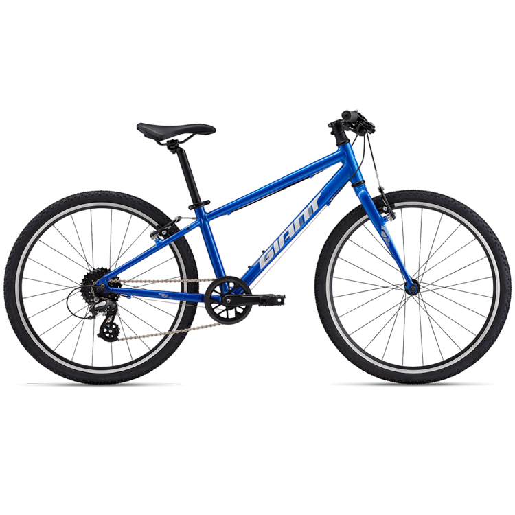 Bicicleta pentru copii Giant ARX 24 photo 
