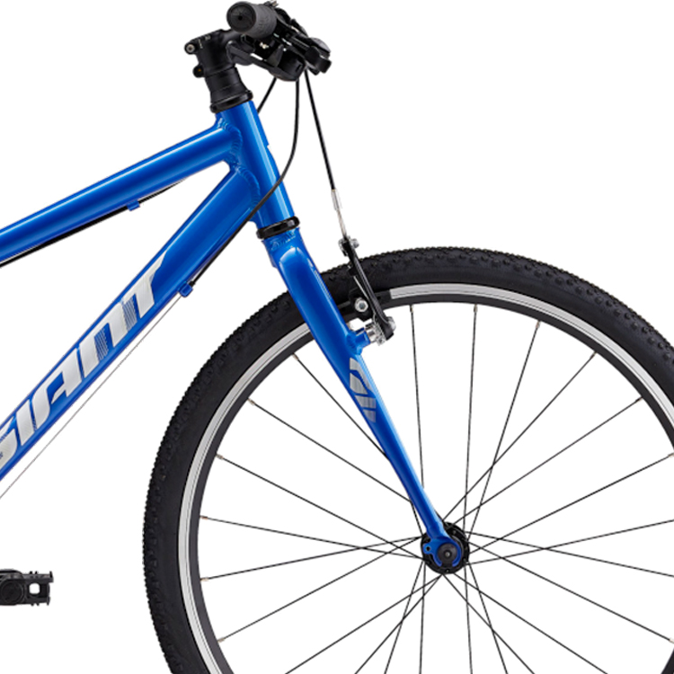 Bicicleta pentru copii Giant ARX 24 / Albastru 25 / 1x8 photo 2