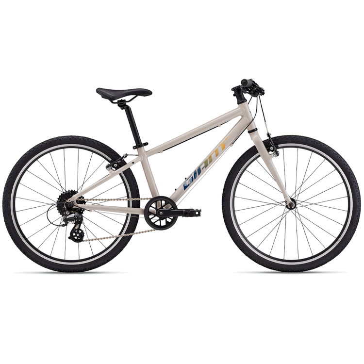 Bicicleta pentru copii Giant ARX 24 photo 