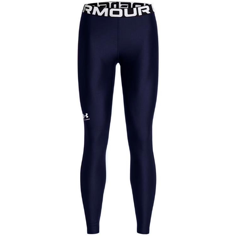 Легинсы Under Armour UA HG Authentics Legging photo Легинсы Under Armour UA HG Authentics Legging photo