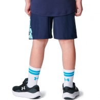 Шорты Under Armour UA Tech Woven Graphic Short thumbnav 3