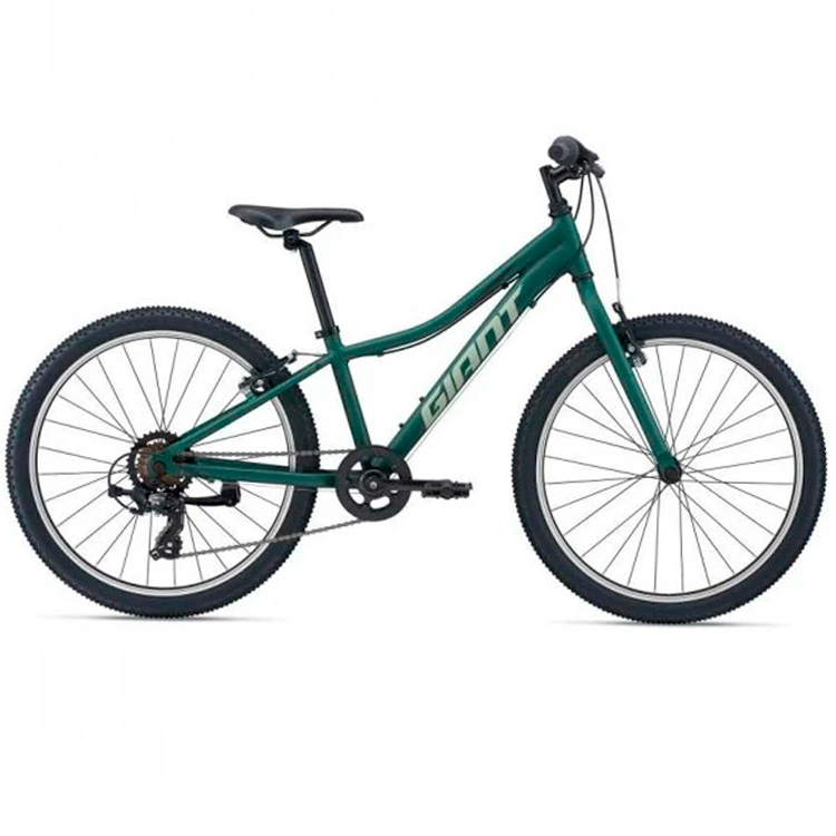 Bicicleta pentru copii Giant XtC Jr Lite / Verde AW20 / 7 photo 1 Bicicleta pentru copii Giant XtC Jr Lite / Verde AW20 / 7 photo 1