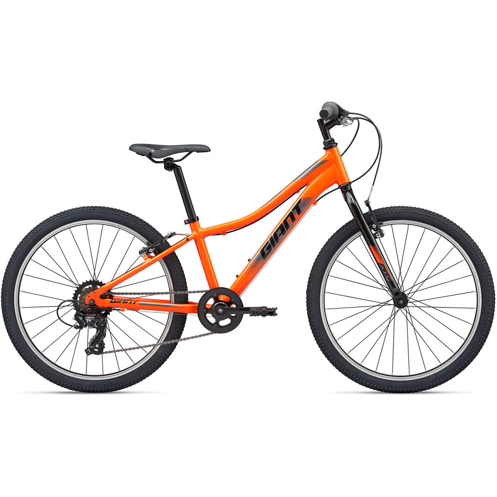 Bicicleta pentru copii Giant XtC Jr Lite photo 