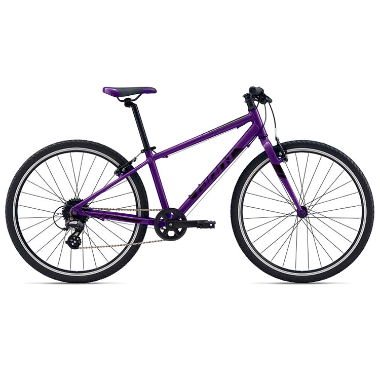 Bicicleta pentru copii Giant ARX Violet photo 1 Bicicleta pentru copii Giant ARX Violet photo 1