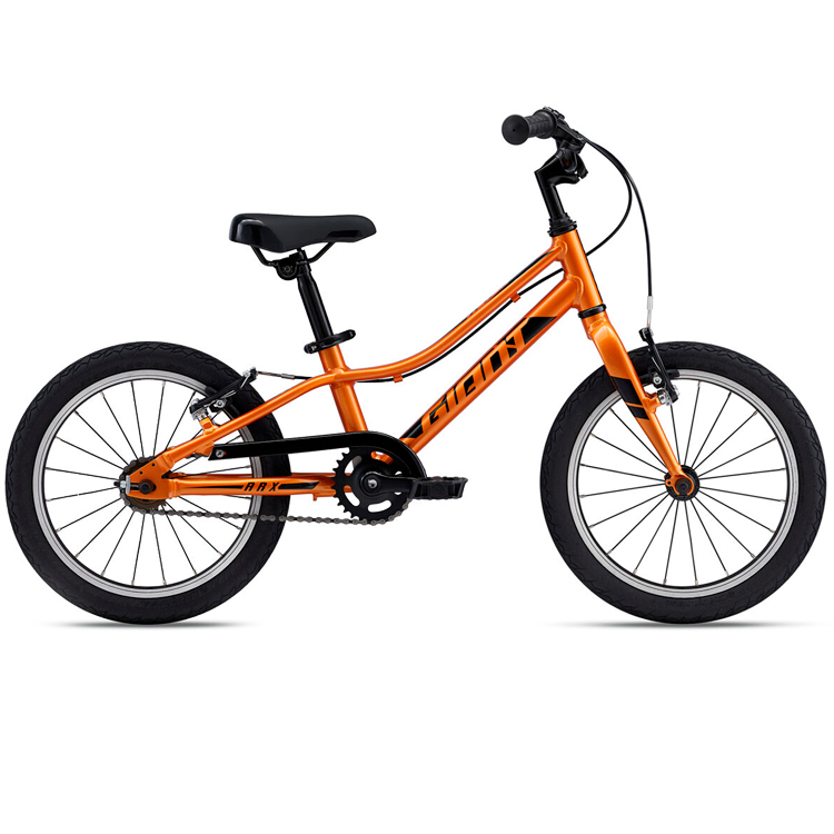 Bicileta pentru copii GIANT ARX 16 F/W photo 