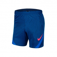 Шорты Nike M NK DRY STRKE SHORT KZ NG thumbnav 1