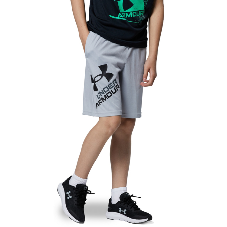Шорты Under Armour UA BGS PROTOTYPE 2.0 LOGO SHORTS photo 4