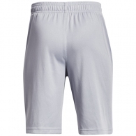 Шорты Under Armour UA BGS PROTOTYPE 2.0 LOGO SHORTS thumbnav 2