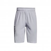 Шорты Under Armour UA Prototype 2.0 Wdmk Shorts thumbnav 1