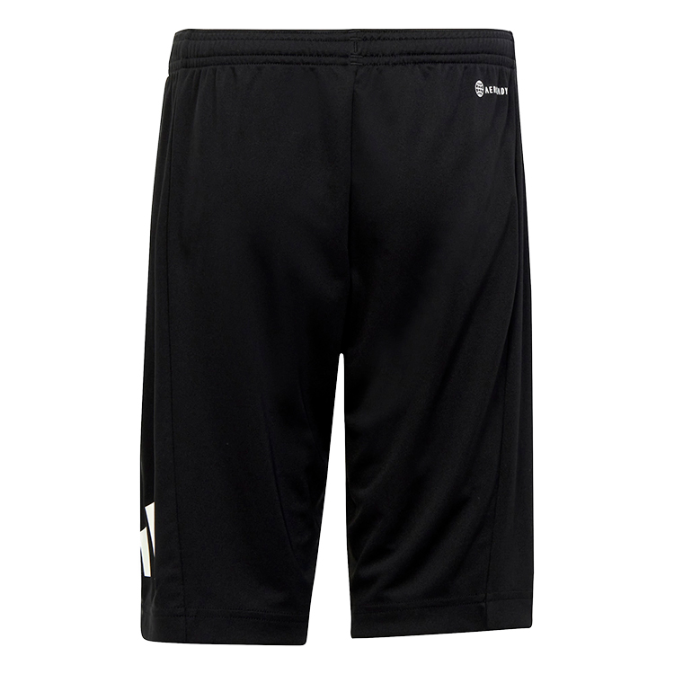 Шорты Adidas U TR-ES LOGO SH photo 2
