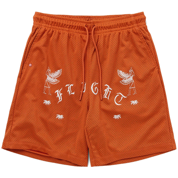 Шорты мужские Nike M J FLT ARTST SRS MESH SHORT M Оранжевый photo 1 Шорты мужские Nike M J FLT ARTST SRS MESH SHORT M Оранжевый photo 1