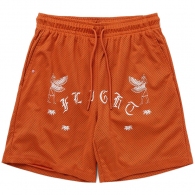 Шорты Nike M J FLT ARTST SRS MESH SHORT thumbnav 1
