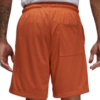 Шорты Nike M J FLT ARTST SRS MESH SHORT thumbnav 3