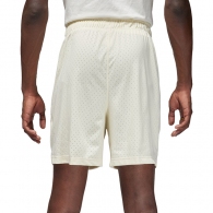Шорты Nike M J DF SPRT MESH SHORT thumbnav 2