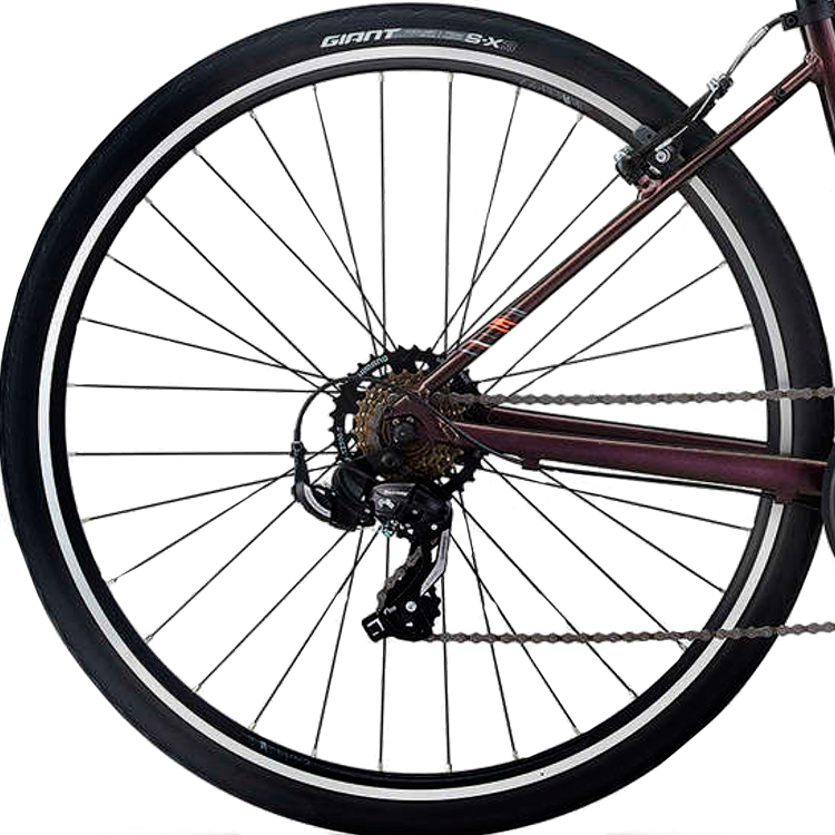 Bicicleta de oras Liv Alight 3 Bordo S photo 5