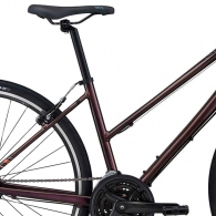 Bicicleta de oras Liv Alight 3 thumbnav 2