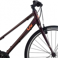 Bicicleta de oras Liv Alight 3 thumbnav 3