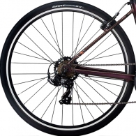Bicicleta de oras Liv Alight 3 thumbnav 5