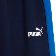 Брюки Puma ESS BLOCK Sweatpants TR B thumbnav 3