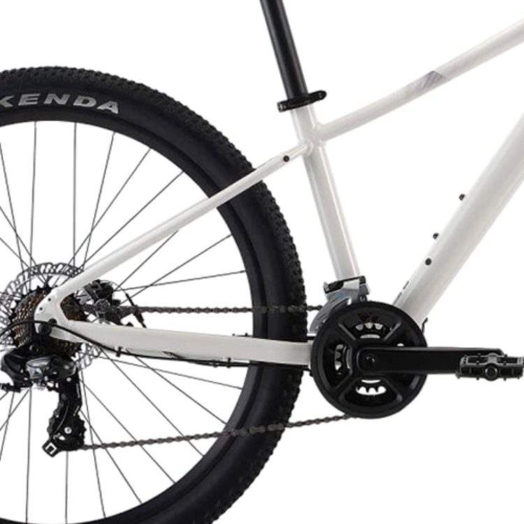 Bicicleta de munte Liv Tempt 5 Alb M photo 4