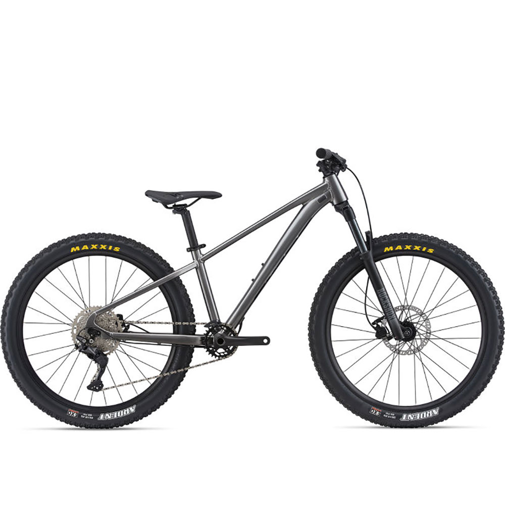 Bicicleta pentru copii Giant STP photo Bicicleta pentru copii Giant STP photo