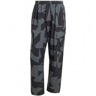 Pantaloni Adidas CARGO AOP PANTS thumbnav