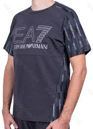 Tricou bărbătesc EA7 EMPORIO ARMANI Train Evo Plus M Tee St L Gri photo 2