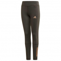 Легинсы Adidas YG TR HLD L TIG thumbnav 1
