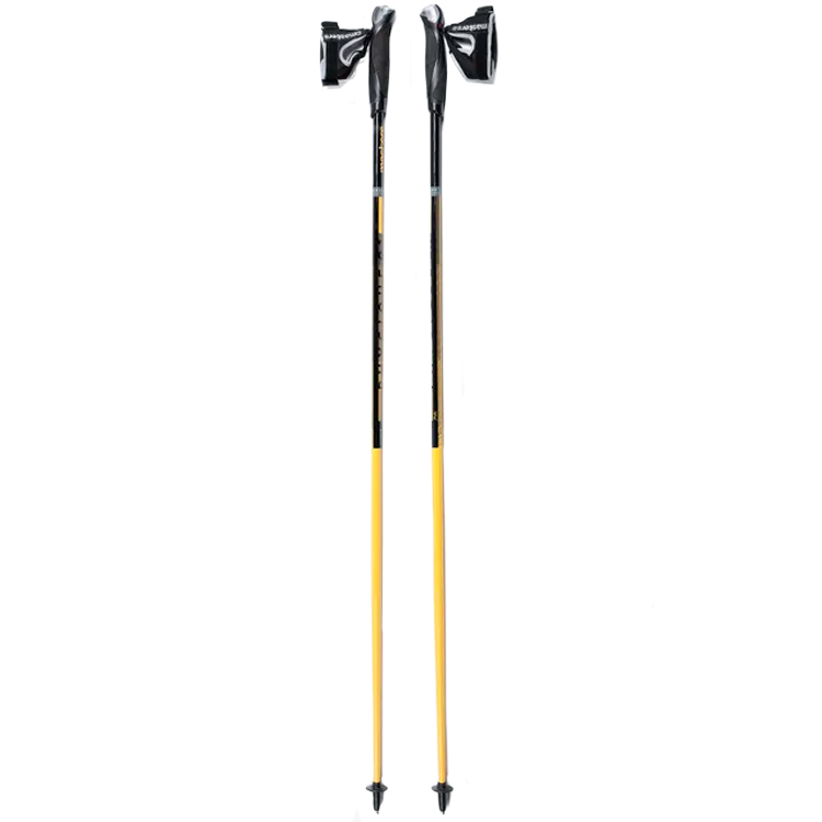 Палки для скандинавской ходьбы Masters PHYSIQUE 0.1 CARBON photo 