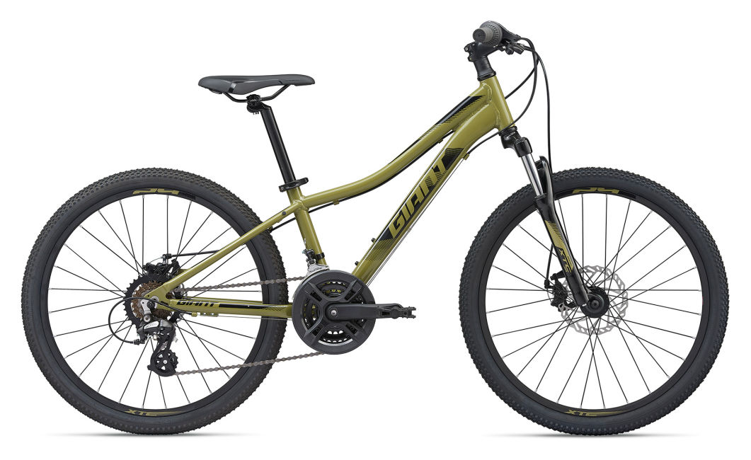 Bicicleta pentru copii Giant XtC Jr Disc 24 / Verde / 3x7 photo 1