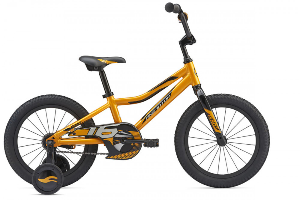 Bicicleta de munte Giant Animator C/B photo Bicicleta de munte Giant Animator C/B photo