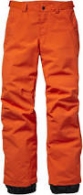 Брюки O Neill PB Anvil Pants thumbnav 1