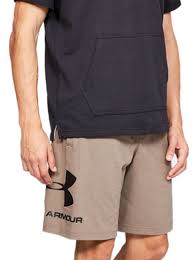 Шорты мужские Under Armour SPORTSTYLE COTTON GRAPHIC SHORT LG Коричневый photo 2
