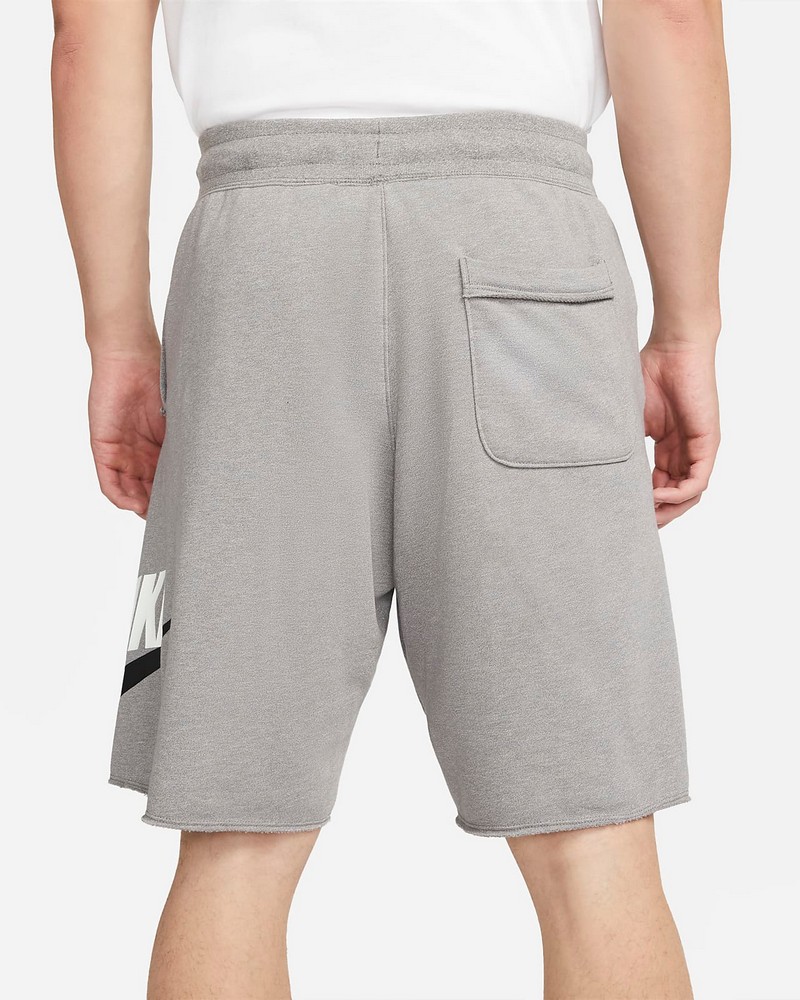 Шорты мужские Nike M NSW SPE FT ALUMNI SHORT S Серый photo 3