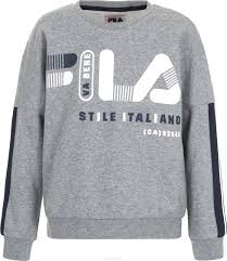Мужская Толстовка Fila XL Серый photo 1 Мужская Толстовка Fila XL Серый photo 1