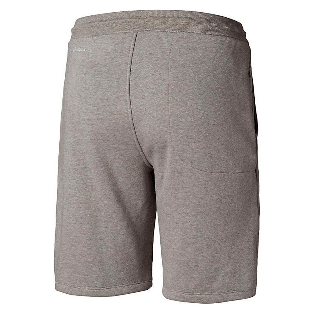 Шорты мужские Columbia CSC M Bugasweat Short S Серый photo 2