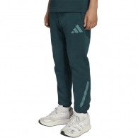 Брюки Adidas J Z.N.E. PT thumbnav 1