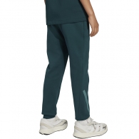 Брюки Adidas J Z.N.E. PT thumbnav 3