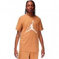 Шорты Nike M J DF SPRT MESH SHORT thumbnav 1