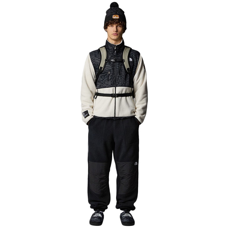 Брюки The North Face M RETRO DENALI PANT S Черный Мужской photo 3