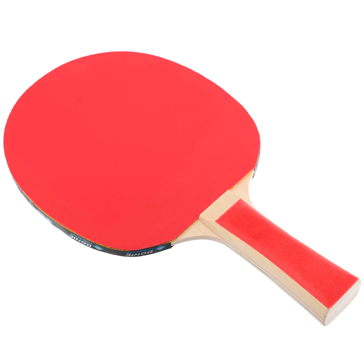 Set pentru tenis de masa cu minge Donic Appelgren 300 Set photo 6