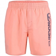 Шорты для плавания Fundango Bono Beach Shorts thumbnav 2