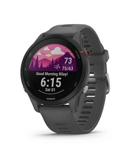 Garmin Forerunner 255, Slate Grey photo 1
