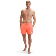 Sorti p/u inot Speedo ESSENTIALS 16 WSHT AM thumbnav 2