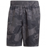 Sorti p/u inot Adidas CAMO AOP SWIMSH thumbnav 2