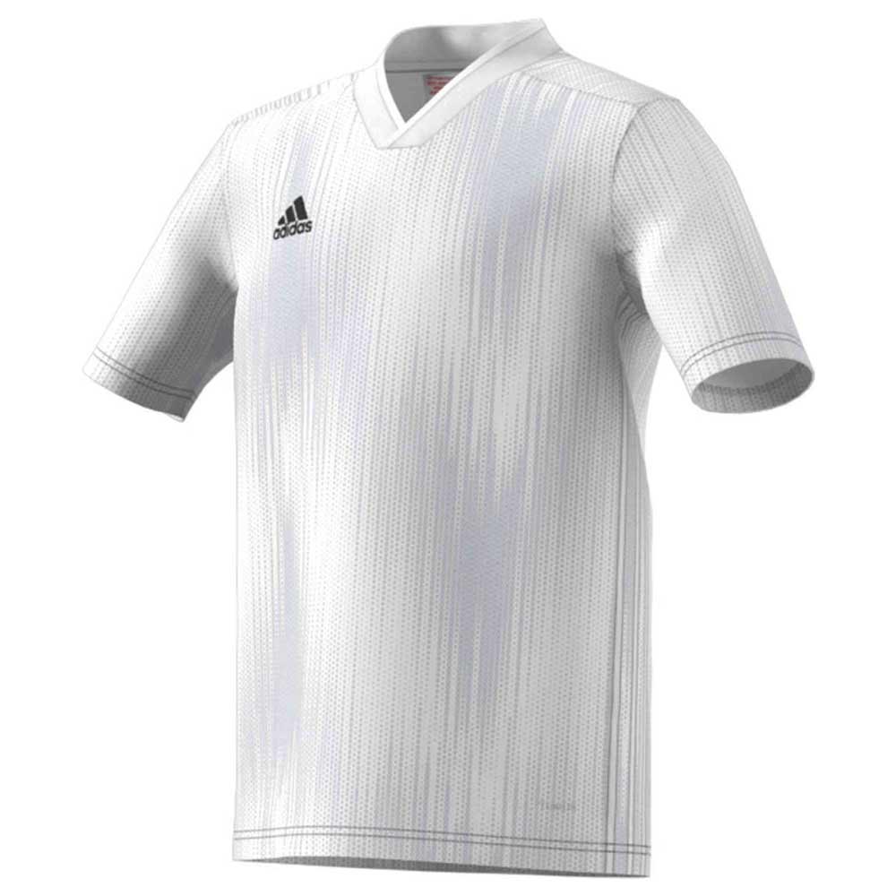 Футболка Adidas TIRO 19 JSY Y photo Футболка Adidas TIRO 19 JSY Y photo